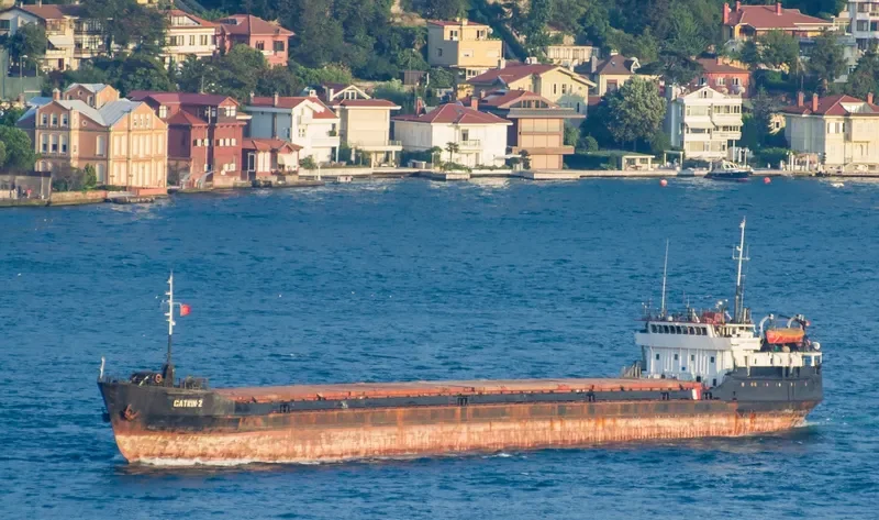 PALLADA General Cargo IMO 8866931 photo 5