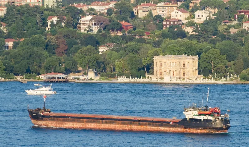 PALLADA General Cargo IMO 8866931 photo 6