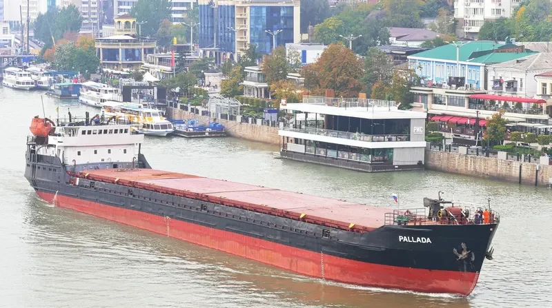 PALLADA General Cargo IMO 8866931 photo 9