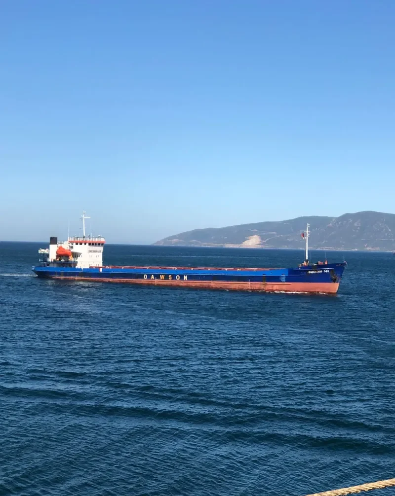 OMSKIY 143 General Cargo IMO 8869385 photo 7