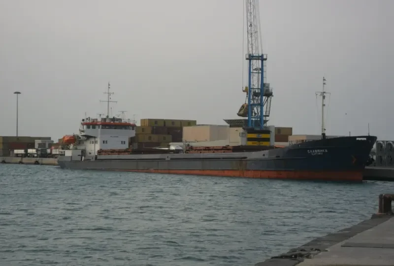 SLAVYANKA General Cargo IMO 8869969 photo 8