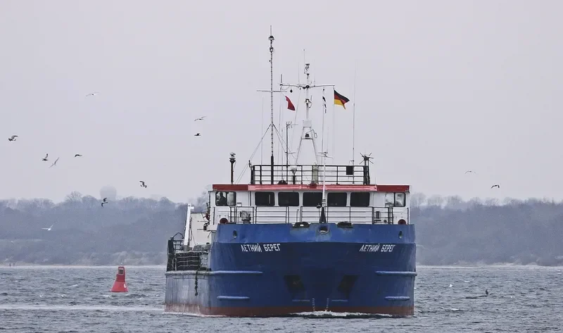 LETNIY BEREG General Cargo IMO 8870839 photo 6