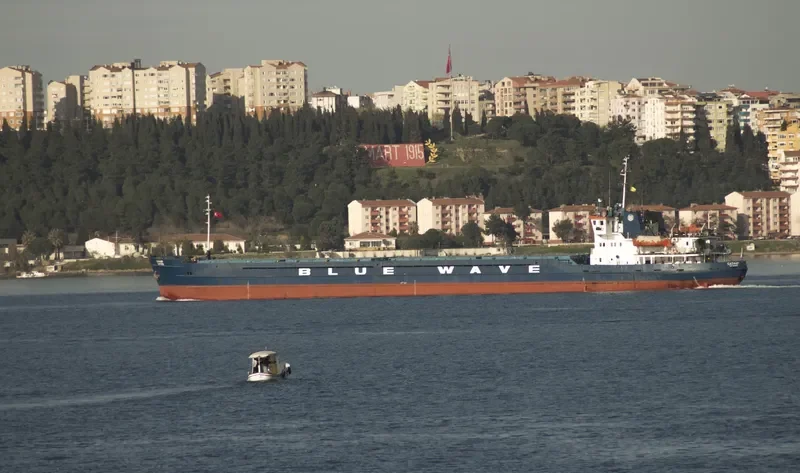 SAPPHIRE General Cargo IMO 8871338 photo 5