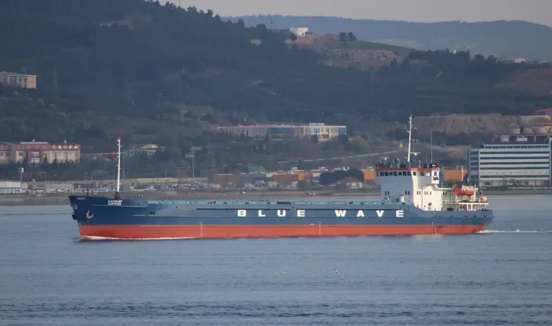 SAPPHIRE General Cargo IMO 8871338 photo 6
