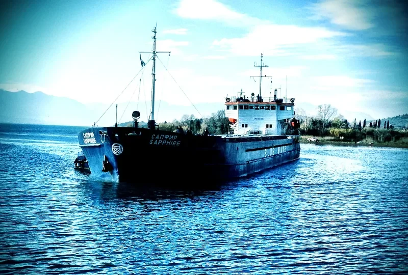 SAPPHIRE General Cargo IMO 8871338 photo 8