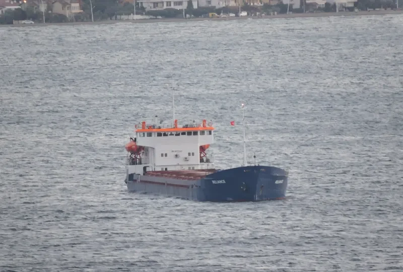 NIKO PIROSMAN General Cargo IMO 8872344 photo 2