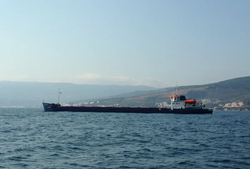 NIKO PIROSMAN General Cargo IMO 8872344 photo 3