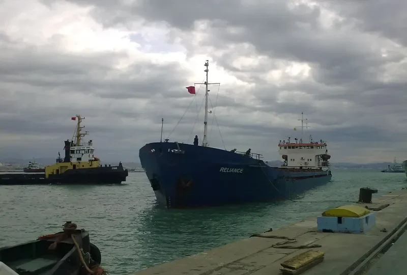 NIKO PIROSMAN General Cargo IMO 8872344 photo 6