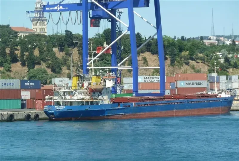 NIKO PIROSMAN General Cargo IMO 8872344 photo 8