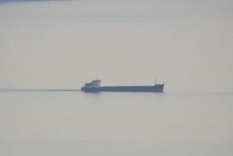 NIKO PIROSMAN General Cargo IMO 8872344 photo 10