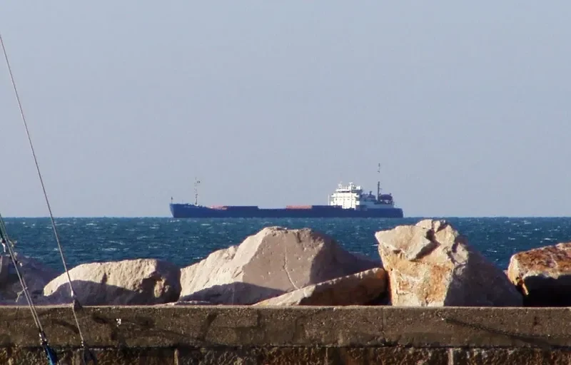 DMITRY DONSKOY General Cargo IMO 8872526 photo 7