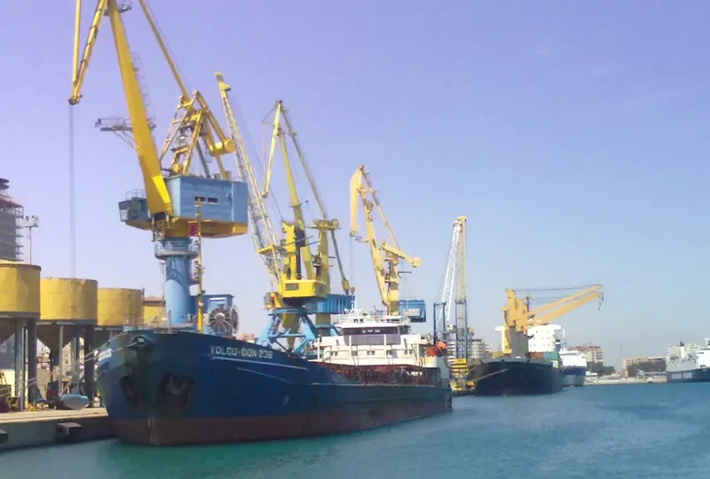 DMITRY DONSKOY General Cargo IMO 8872526 photo 10