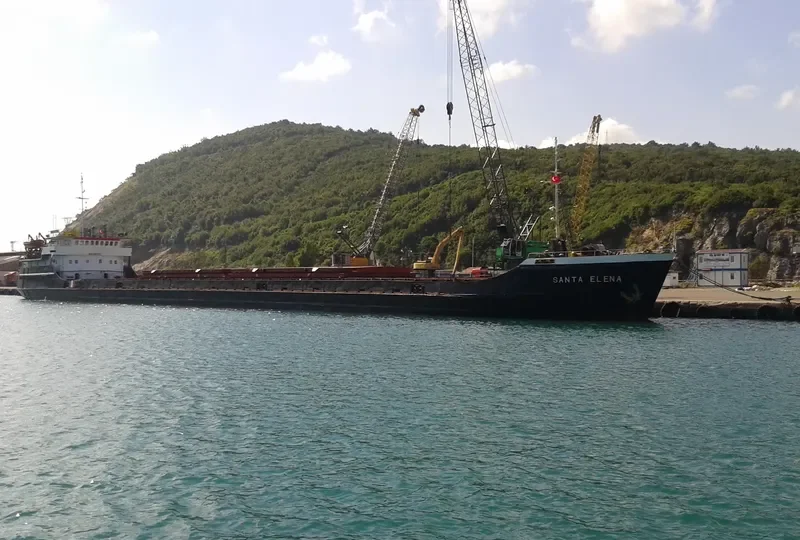 BOONDOCKS General Cargo IMO 8872617 photo 2