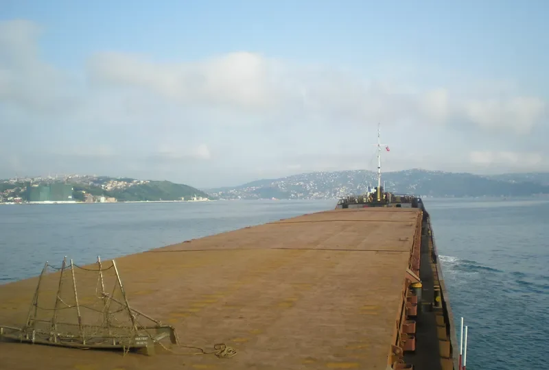 BOONDOCKS General Cargo IMO 8872617 photo 6