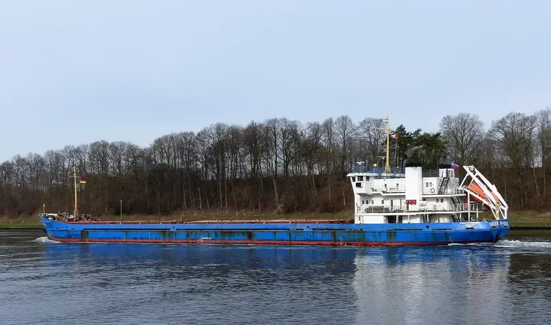 OMSKIY 132 General Cargo IMO 8873025 photo 9