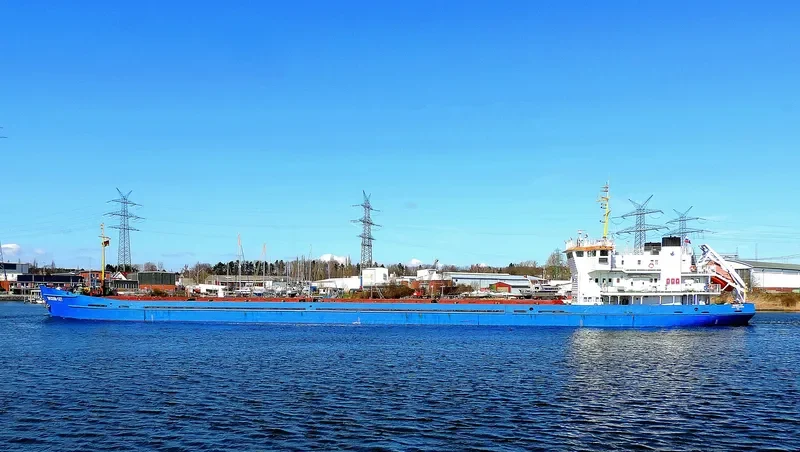 OMSKIY 137 General Cargo IMO 8873087 photo 3