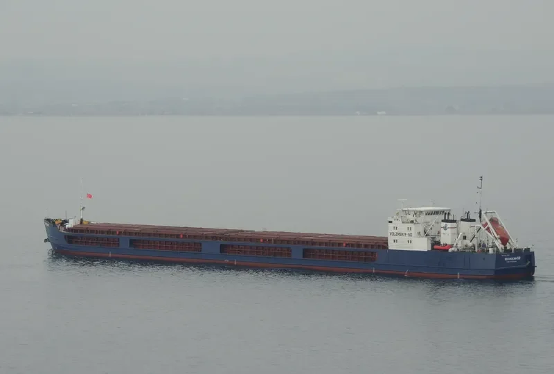 VOLZHSKIY 50 General Cargo IMO 8873324