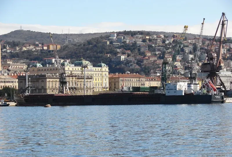 VOLZHSKIY 50 General Cargo IMO 8873324 photo 7