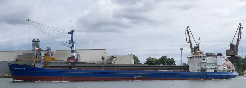 OMSKIY 133 General Cargo IMO 8873336 photo 3