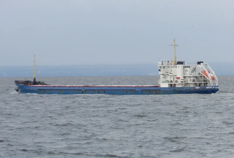 OMSKIY 133 General Cargo IMO 8873336 photo 5