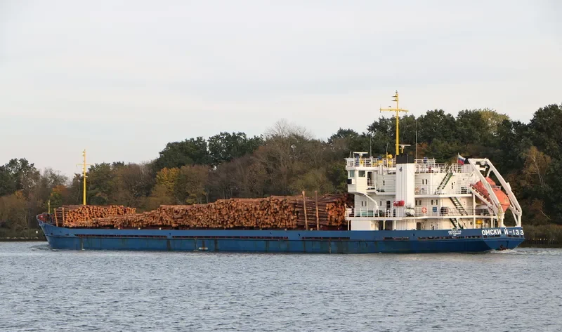 OMSKIY 133 General Cargo IMO 8873336 photo 6
