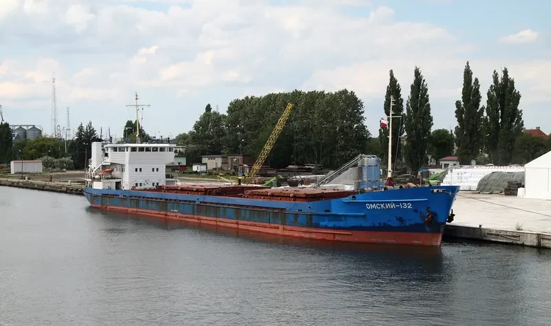 OMSKIY 133 General Cargo IMO 8873336 photo 9