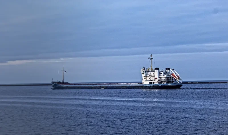 OMSKIY 133 General Cargo IMO 8873336 photo 10