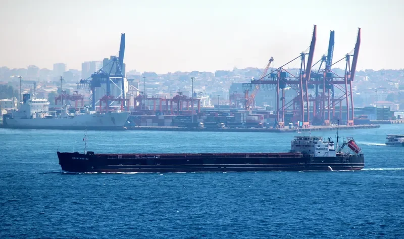 VOLZHSKIY 44 General Cargo IMO 8873489 photo 8