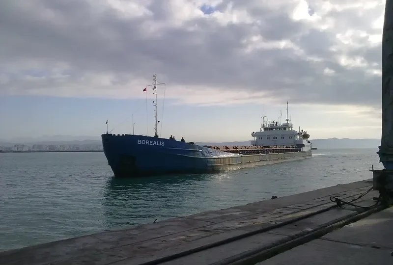 BOREALIS General Cargo IMO 8873740 photo 4