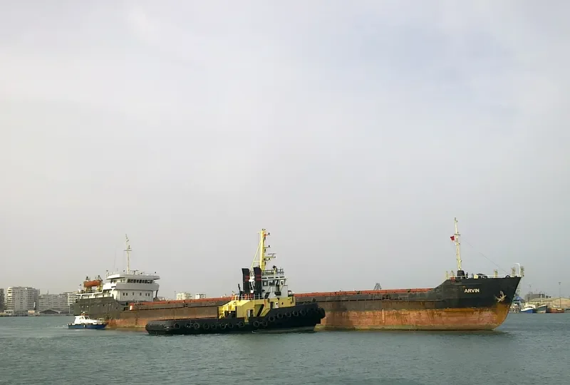 ARVIN General Cargo IMO 8874316 photo 3