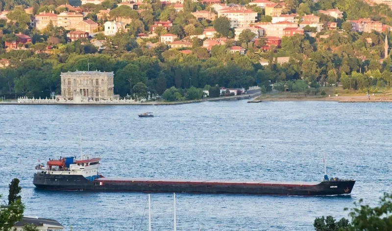 ARVIN General Cargo IMO 8874316 photo 6