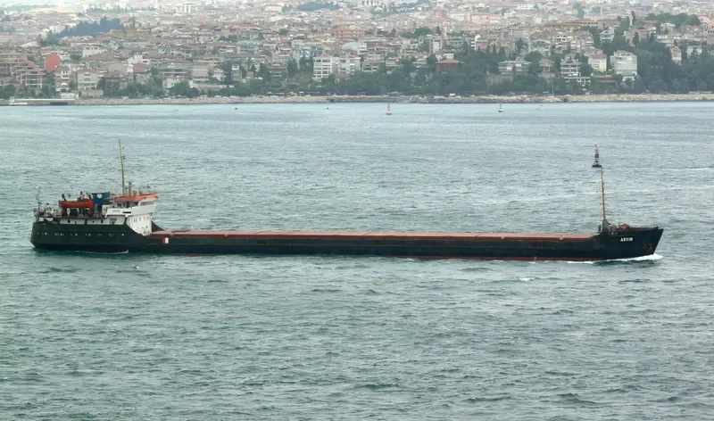 ARVIN General Cargo IMO 8874316 photo 7