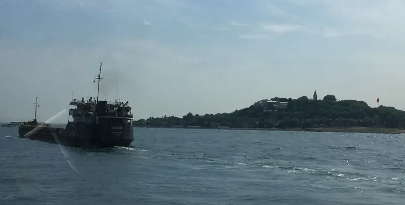 ARVIN General Cargo IMO 8874316 photo 9
