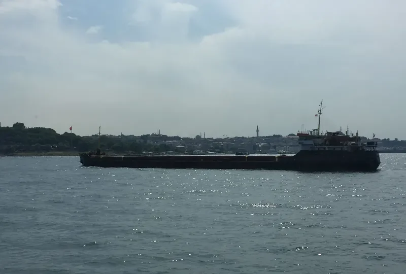 ARVIN General Cargo IMO 8874316 photo 10