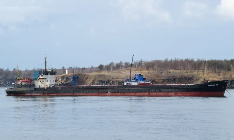 OMSKIY 117 General Cargo IMO 8874421 photo 2