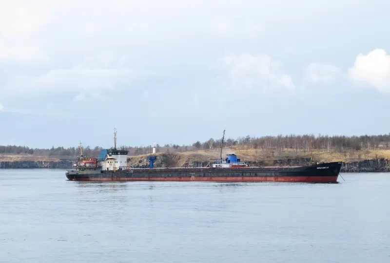 OMSKIY 117 General Cargo IMO 8874421 photo 3