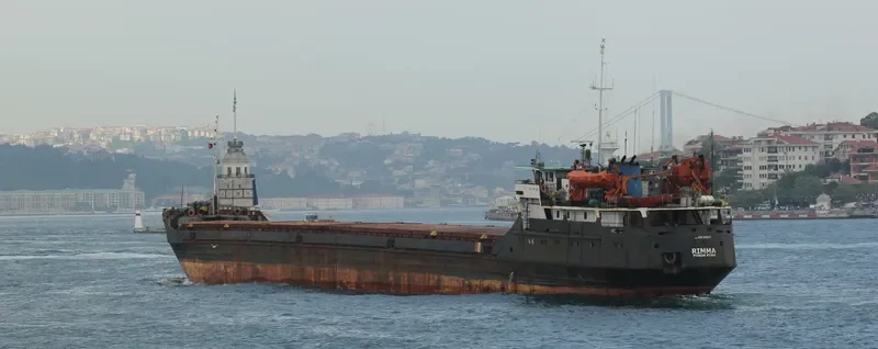 RIMMA General Cargo IMO 8874902