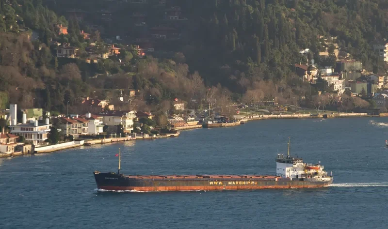 OMSKIY 14 General Cargo IMO 8874914 photo 6
