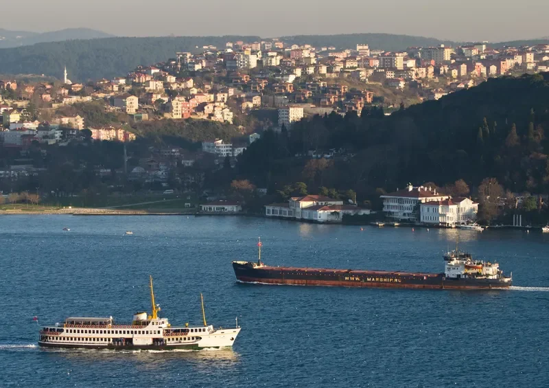 OMSKIY 14 General Cargo IMO 8874914 photo 7