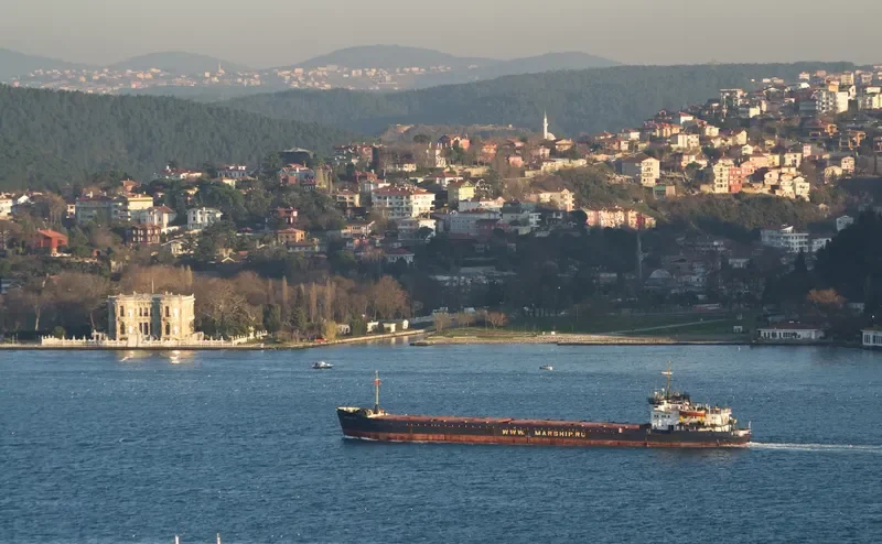 OMSKIY 14 General Cargo IMO 8874914 photo 8