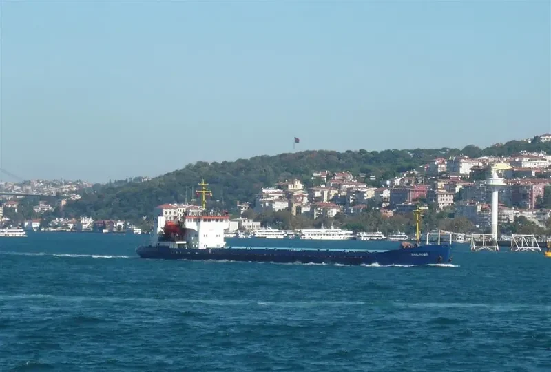 OMSKIY 89 General Cargo IMO 8876170