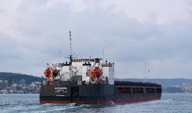 ALEXANDRA General Cargo IMO 8876340