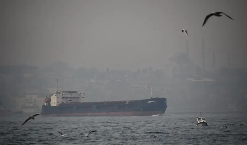 ALEXANDRA General Cargo IMO 8876340 photo 9