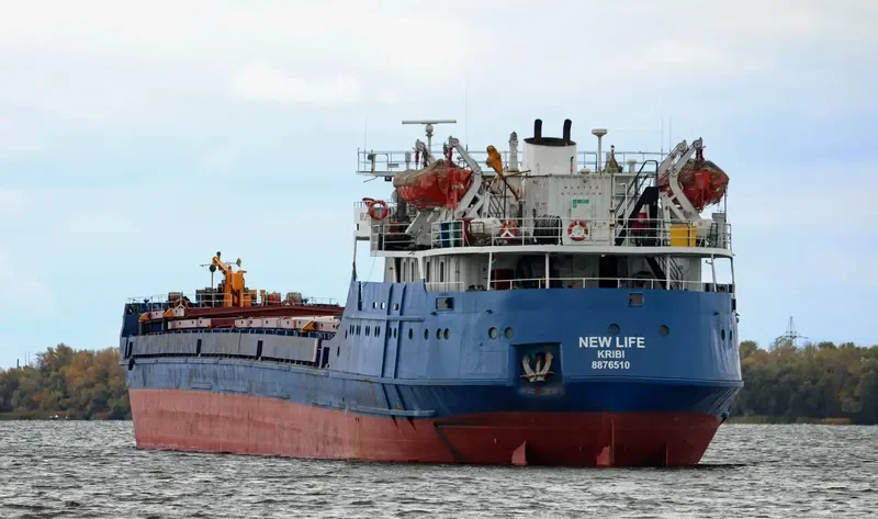 NEWLIFE General Cargo IMO 8876510 photo 4