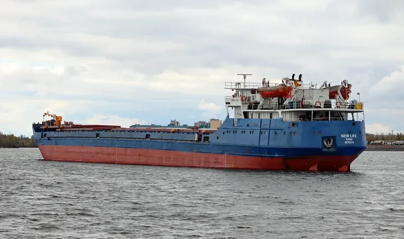NEWLIFE General Cargo IMO 8876510 photo 5