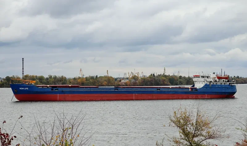 NEWLIFE General Cargo IMO 8876510 photo 6