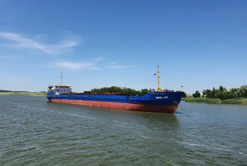 NEWLIFE General Cargo IMO 8876510 photo 7