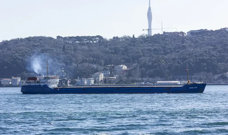 NEWLIFE General Cargo IMO 8876510 photo 8