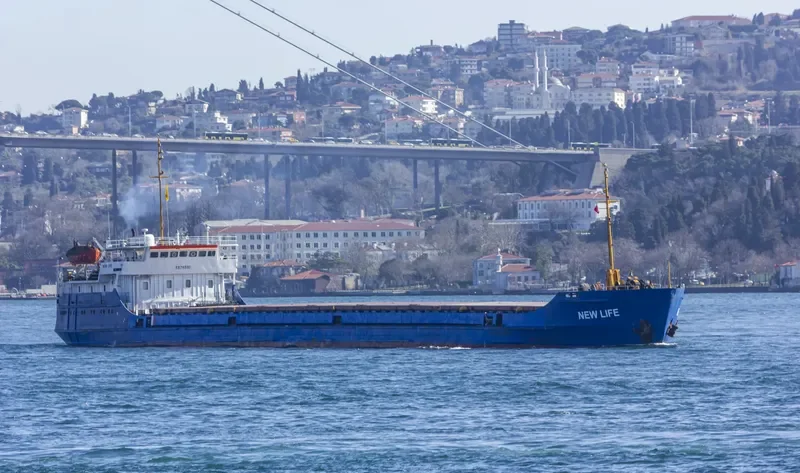 NEWLIFE General Cargo IMO 8876510 photo 9