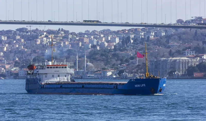 NEWLIFE General Cargo IMO 8876510 photo 10